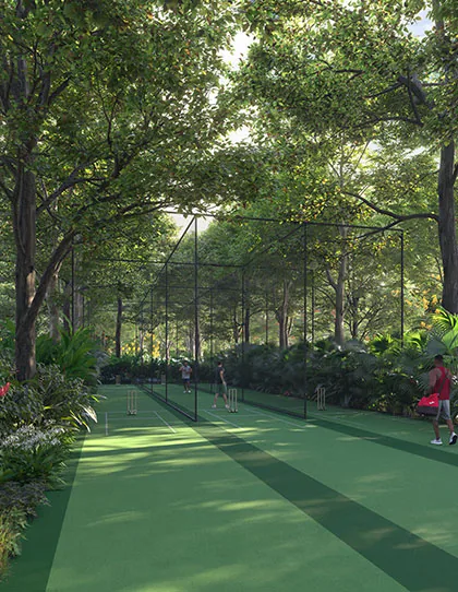 Cricket practice pitch at Mythri Springwoods